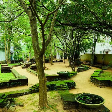 Twin Blocks Nature Resort Anuradhapura Ngoại thất bức ảnh