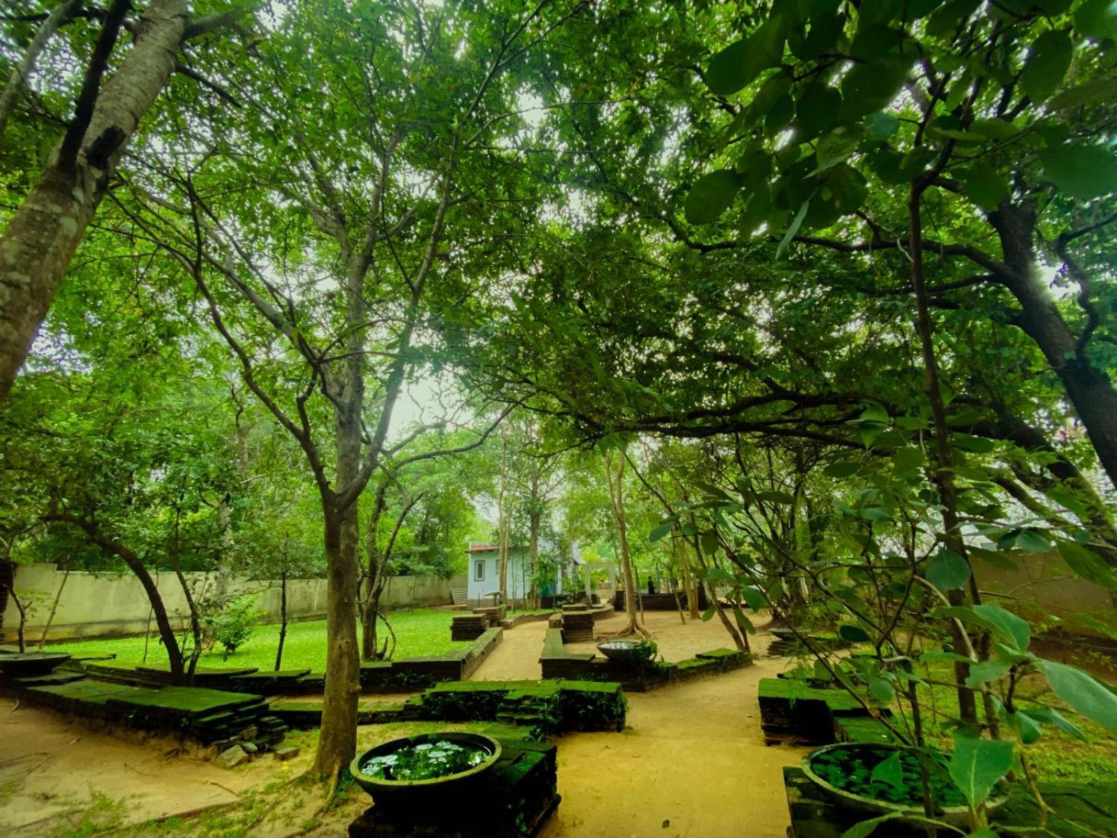Twin Blocks Nature Resort Anuradhapura Ngoại thất bức ảnh