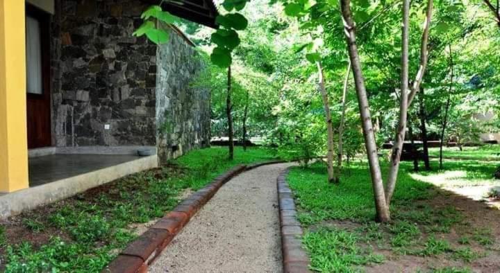 Twin Blocks Nature Resort Anuradhapura Ngoại thất bức ảnh