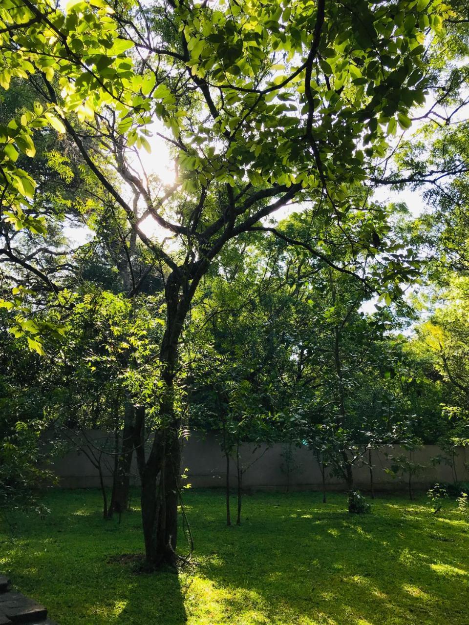 Twin Blocks Nature Resort Anuradhapura Ngoại thất bức ảnh